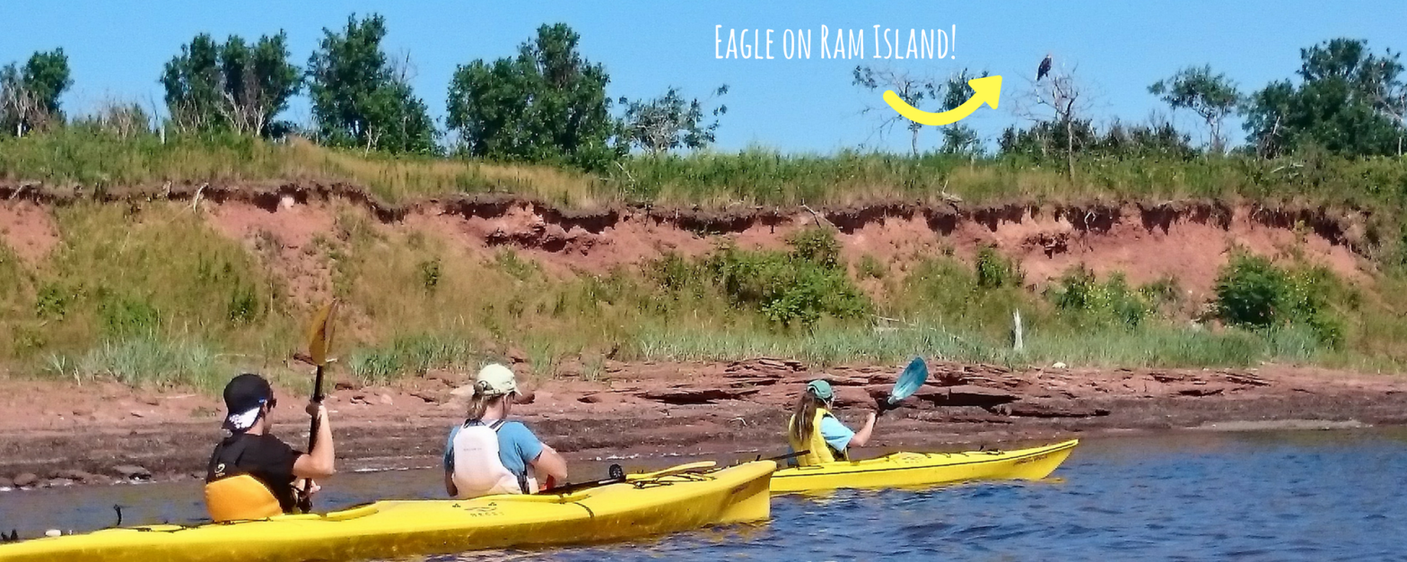 pei kayak